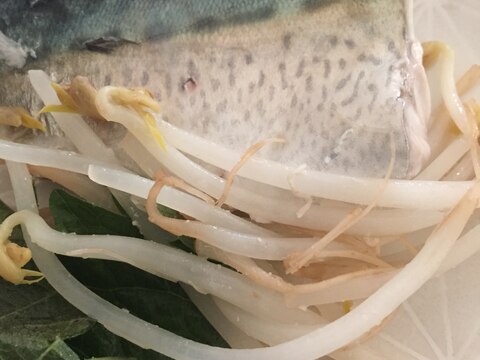 野菜と鯖のレンジ蒸し！